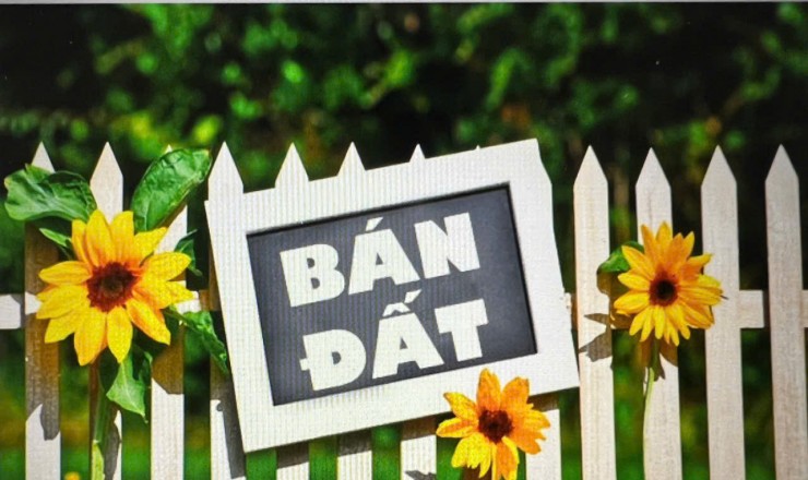Chính chủ cần bán đất nền thô cư, ngay Trung tâm TP Thanh Hóa
